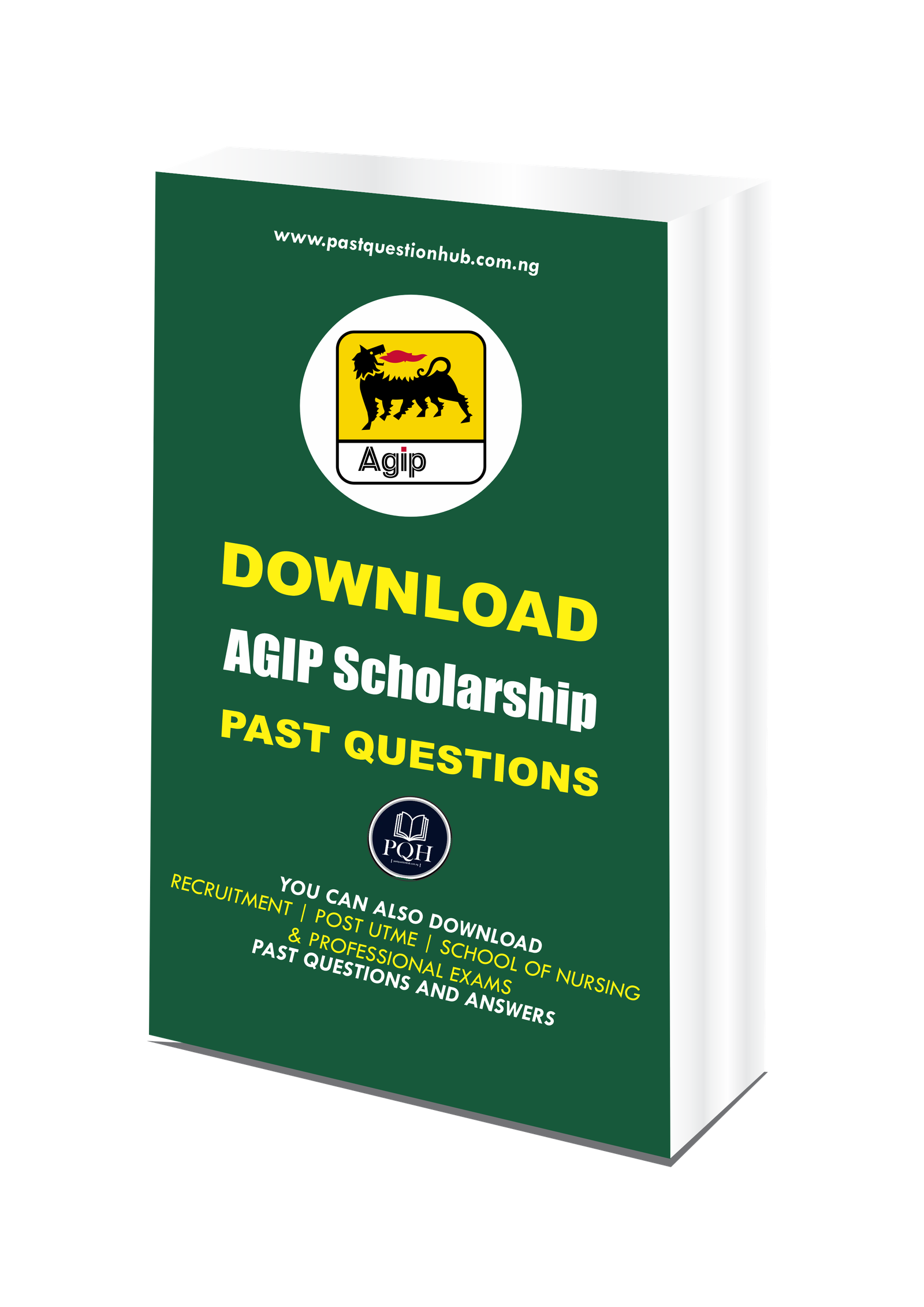 AGIP Scholarship Past Questions and Answers PDF