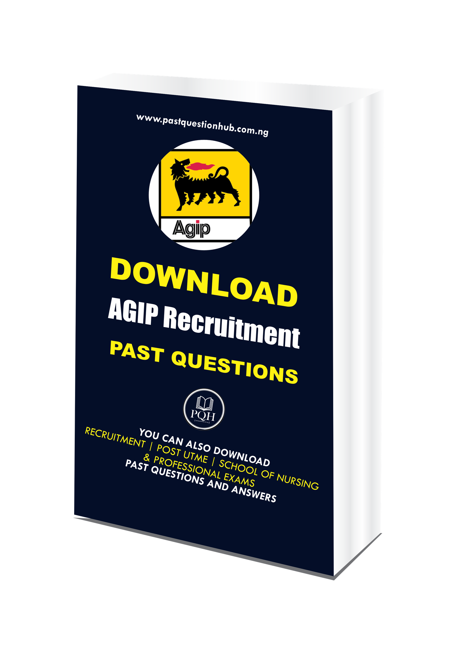 AGIP Recruitment Past Questions and Answers PDF